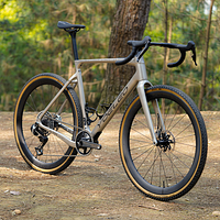 YOELEO Altera G21 DB Gravel Bike Frameset Champagne