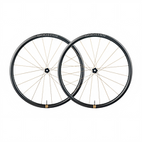 GOOSYNN Ti-Fi Titanium Fiber Spoke R30 Wheelset
