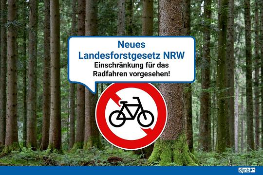 NRW plant striktes Verbot für Mountainbiker: Viele Trails stehen vor dem Aus - Rennrad-News