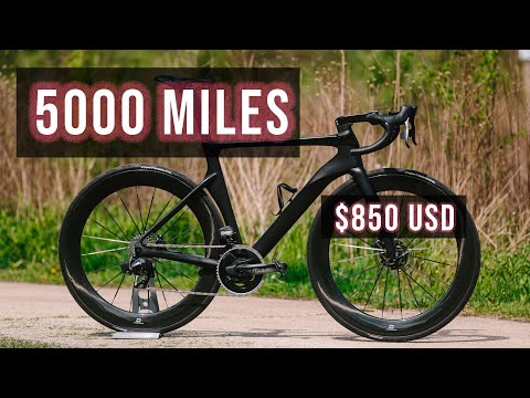 Still The BEST Budget Bike - Light Carbon Yishun R086D Long Term Review